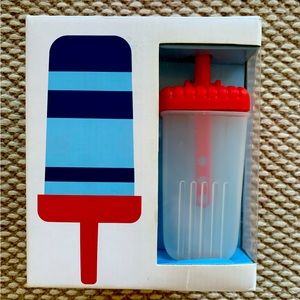 Crate and Barrel Ice Pop Mold Set